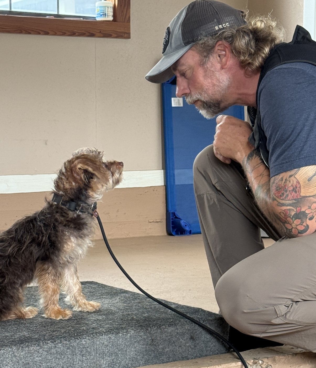 Dog and trainer getting started on a training plan