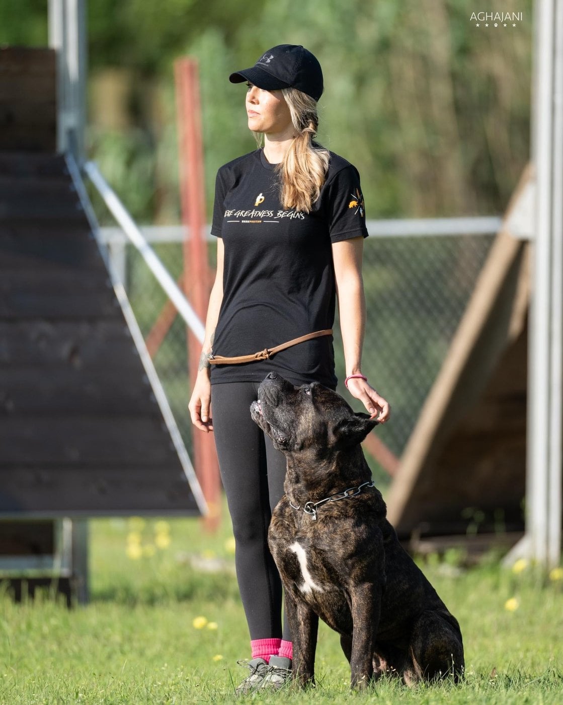 Heather working with a dog outdoors in a grassy field