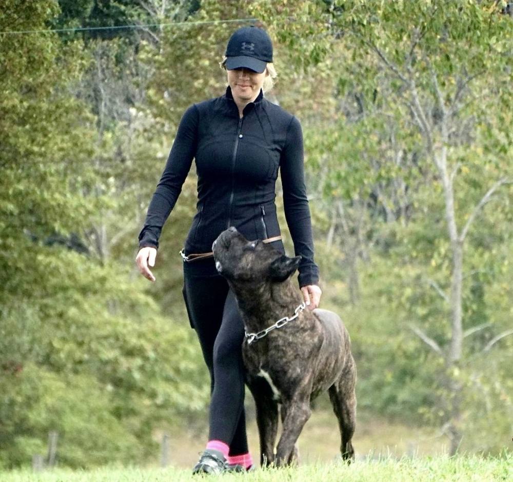 Heather heeling a focused Cane Corso on leash